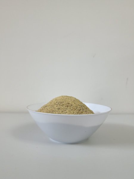 بهار رز أبيض