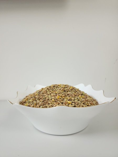 عدس حبة كبيرة