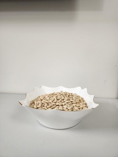 ترمس