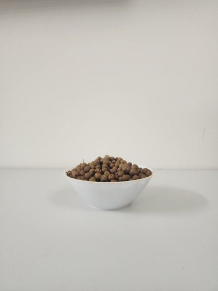 بهار حب