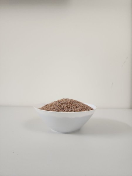بذور القاطونة