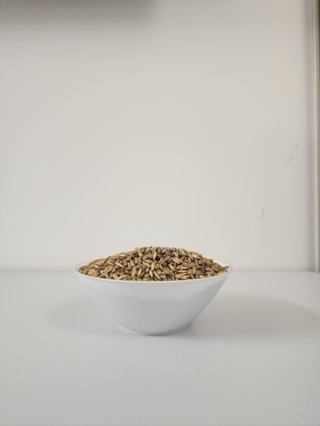 بذور الشوك