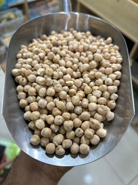 حمص حبه عادية
