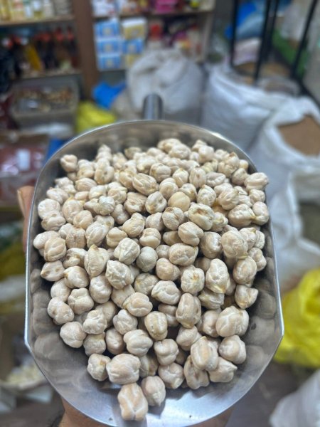 حمص حبة كبيرة